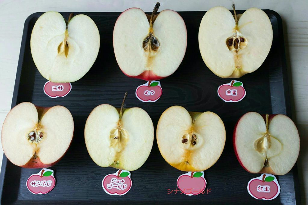 りんご　種類　人気