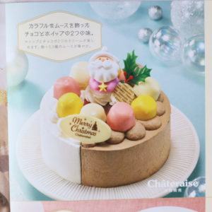 クリスマスケーキ　アソート