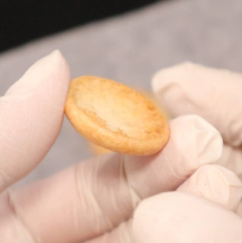 セリア マカロンミックス粉 焼き時間 温度