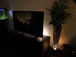 テレビ裏や壁の間接照明おすすめはコレ 工事不要でリビングをおしゃれに簡単diy Ledテープライトとの比較も
