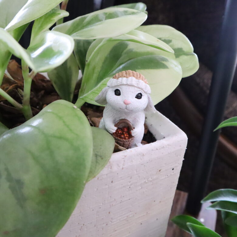 セリア　クリスマス　飾り