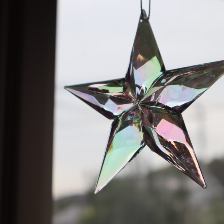 セリア　クリスマス　飾り