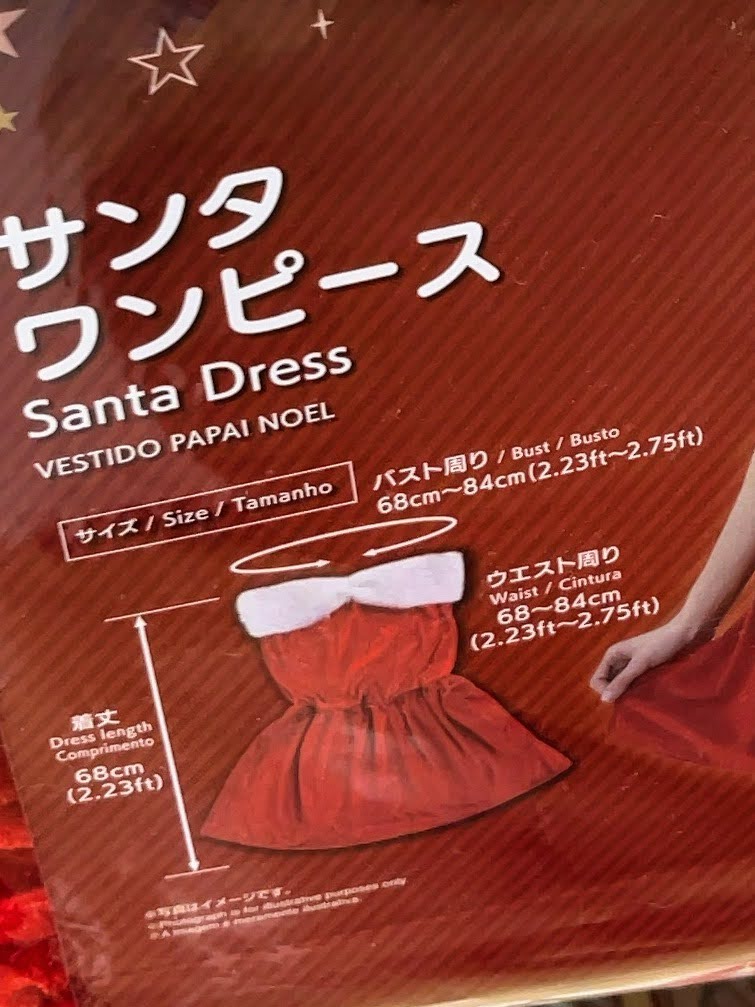 ダイソー サンタコス