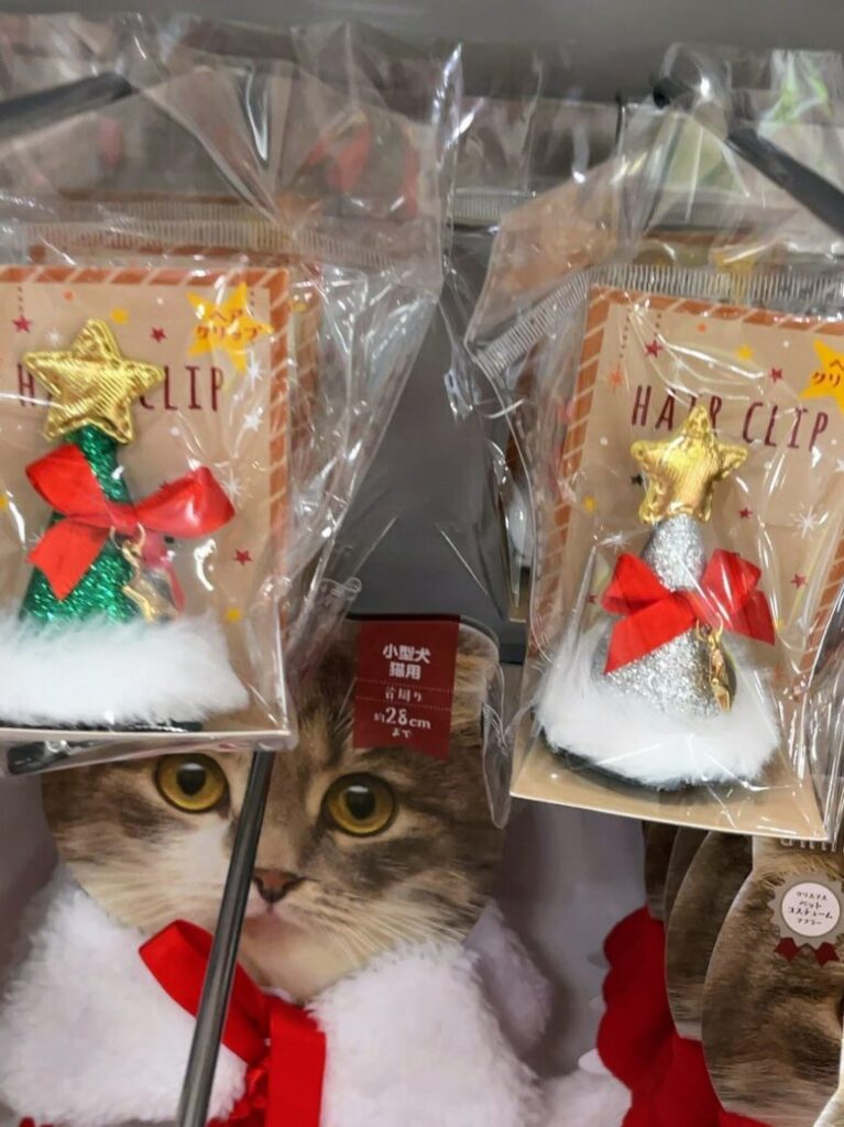 セリア　クリスマス　コスプレ